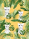 Baby Cat in the Jungle 3