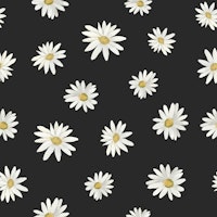 Wild Daisy Pattern papiers peint