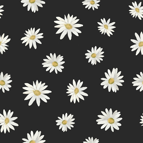 Wild Daisy Pattern
