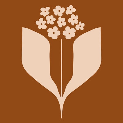 Kuvio