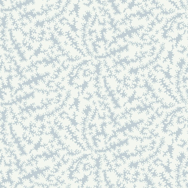 Winter Frost Fantasy