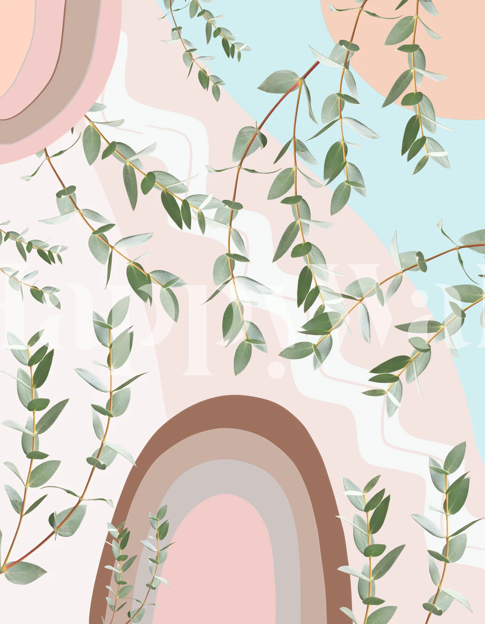 Eucalyptus Rainbow Dream 1 wallpaper design