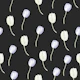 Whispering Tulip Pattern