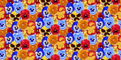 Τοιχογραφία