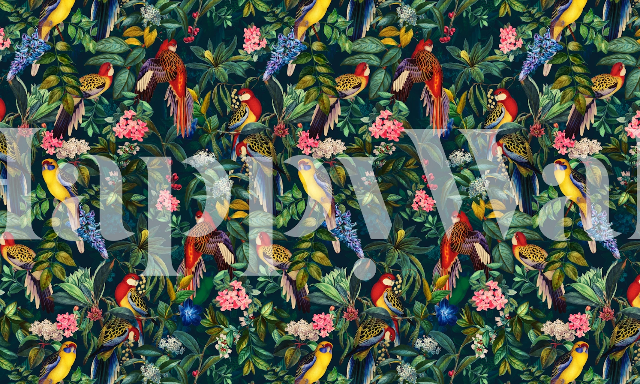 Tropical bird motif with colorful feathers and green leaves wallpaper