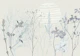 Plant based calming atmosphere soft blue 2