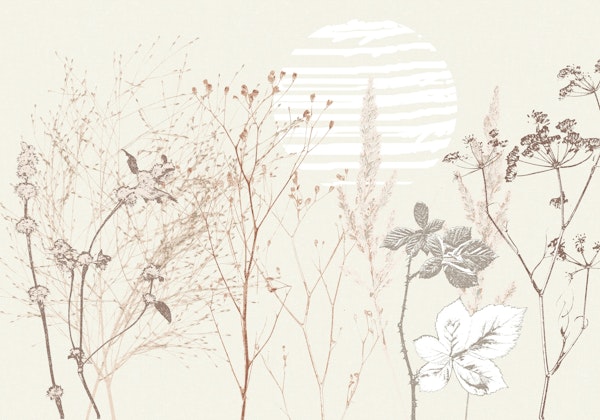 Plant based calming atmosphere earthy tones 2