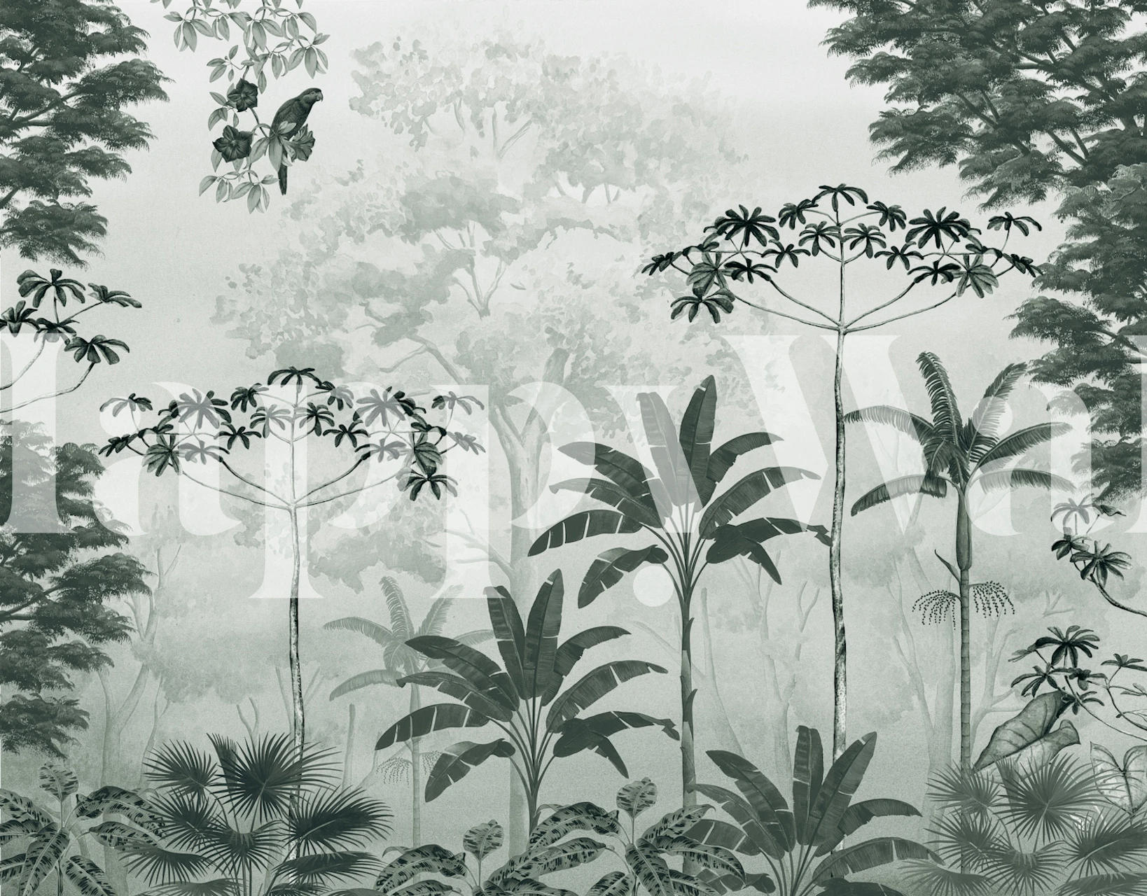 Misty Rainforest Green papel de parede em um quarto