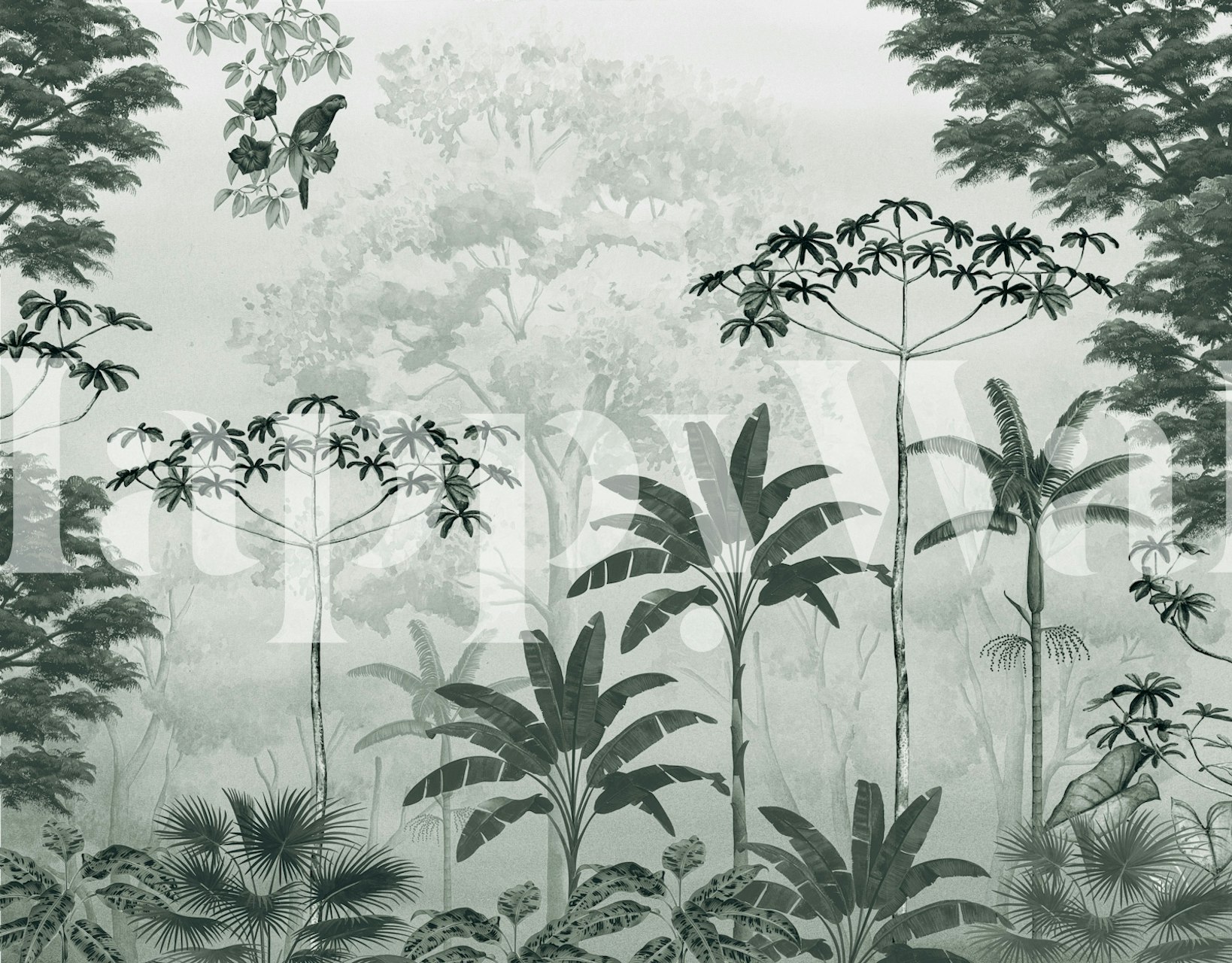 Lush rainforest foliage in shades of green and gray wallpaper