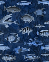 Marine Life Serenity Deep Blue Sea tapete