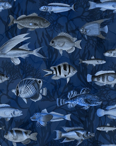 Pattern
