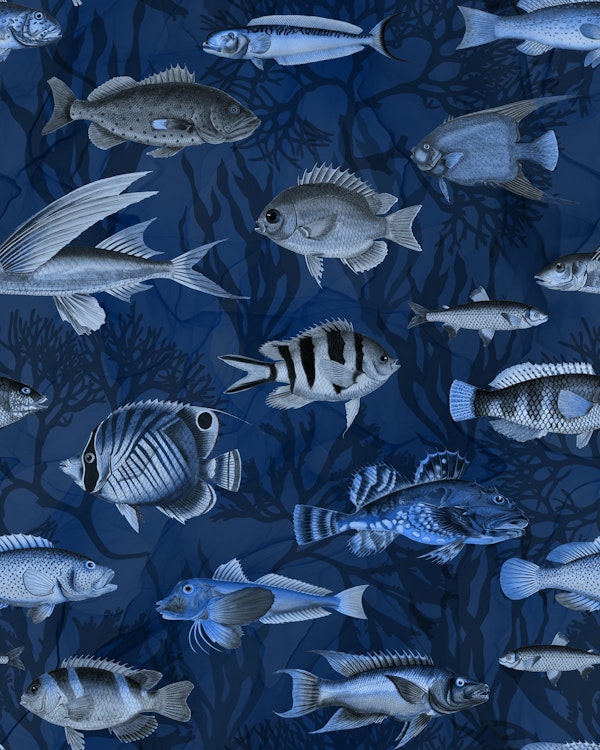 Marine Life Serenity Deep Blue Sea