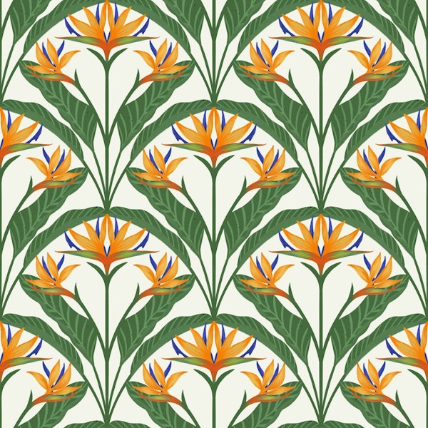 Tropical vibe - Birds in Paradise