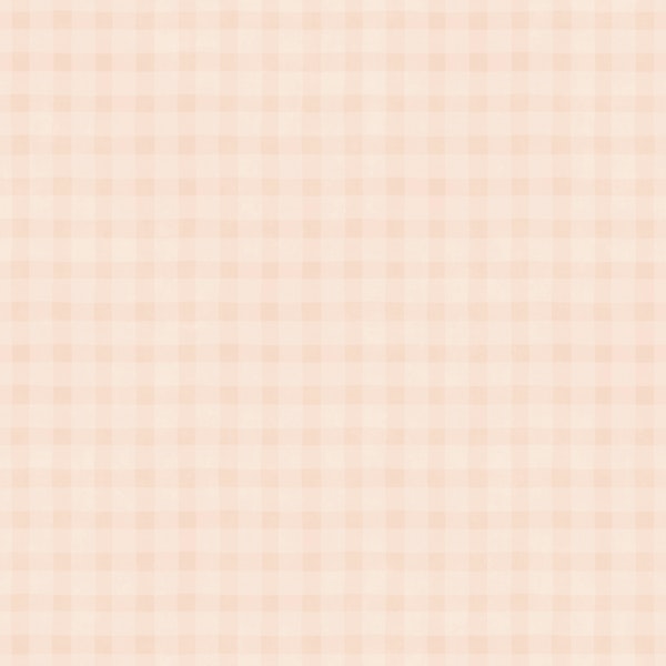 Gingham pastel baby peach