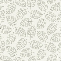 Monstera Leaf Sage Green carta da parati
