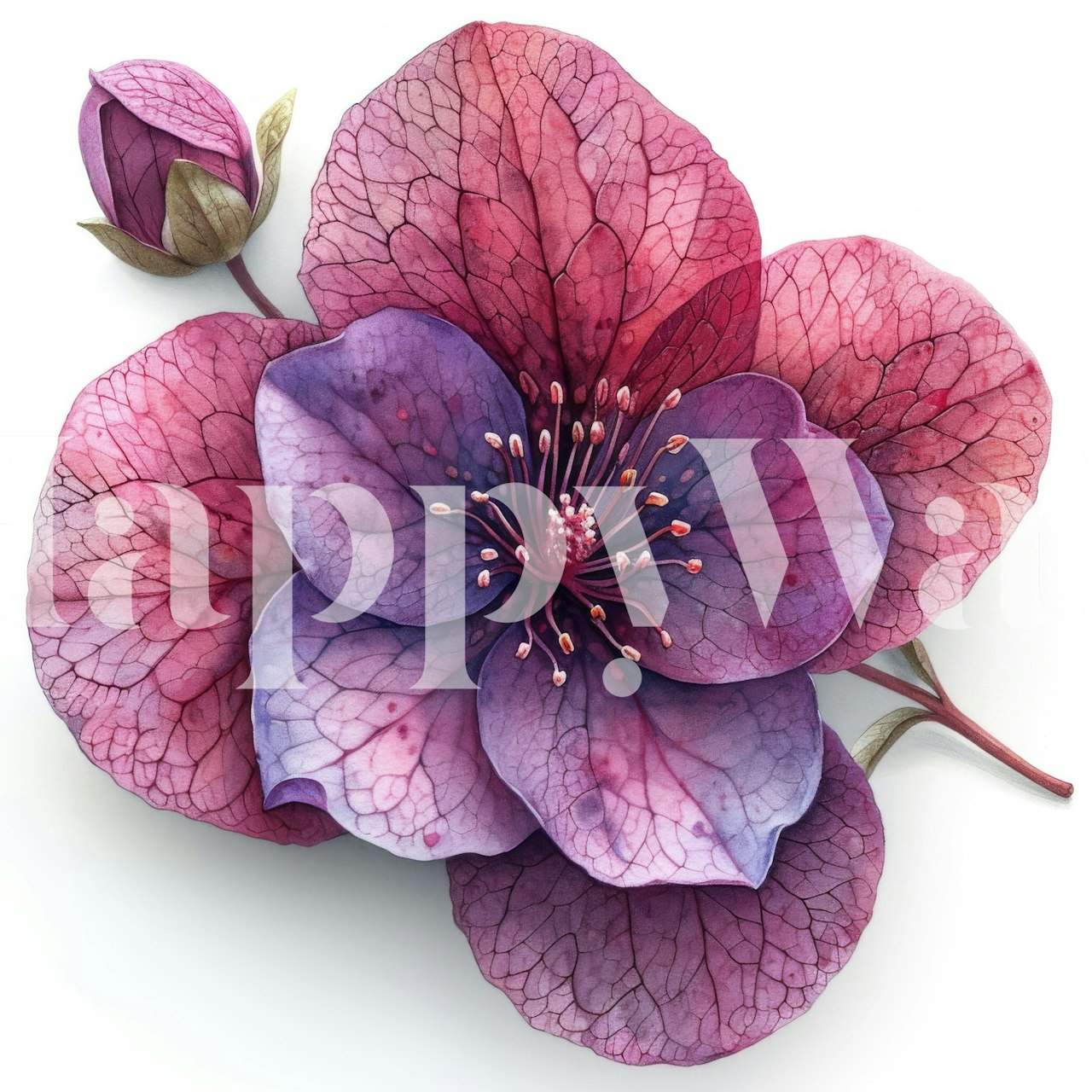 Pink floral wallpaper featuring a large blossom and leaves