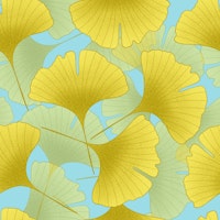 Ginkgo Biloba Leaves 2 wallpaper