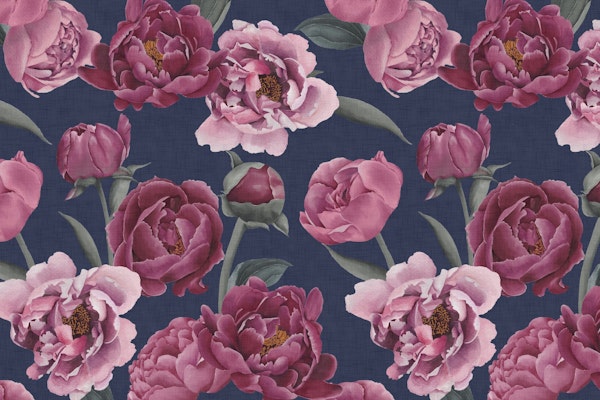 Elegant Peony Blooms