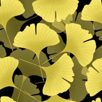Ginkgo Biloba Leaves 4 behang