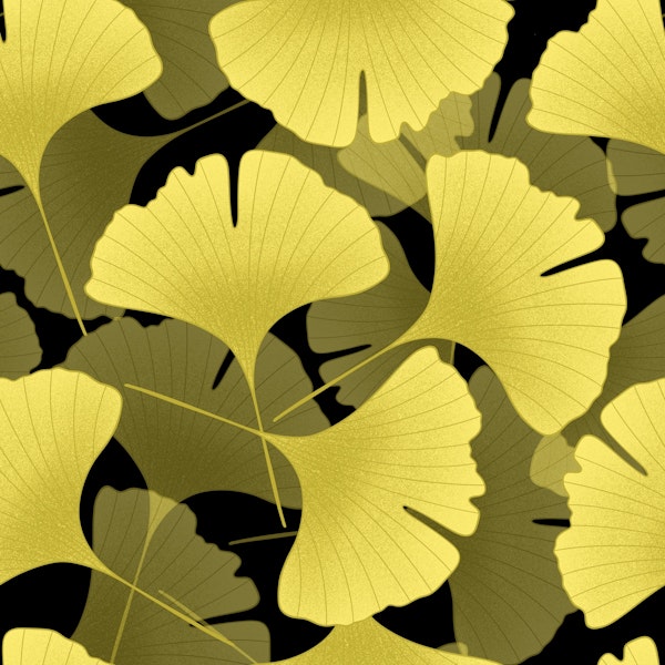 Ginkgo Biloba Leaves 4