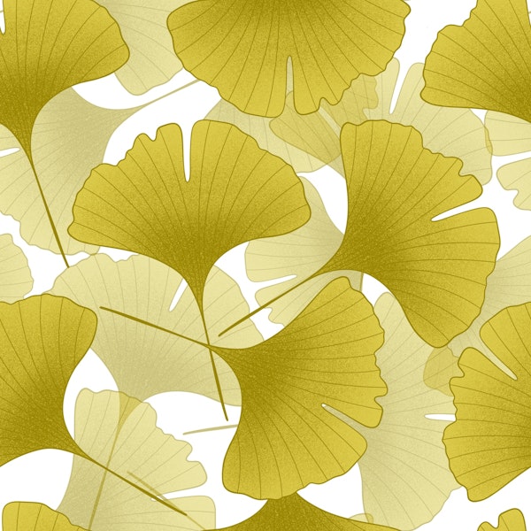 Ginkgo Biloba Leaves 3