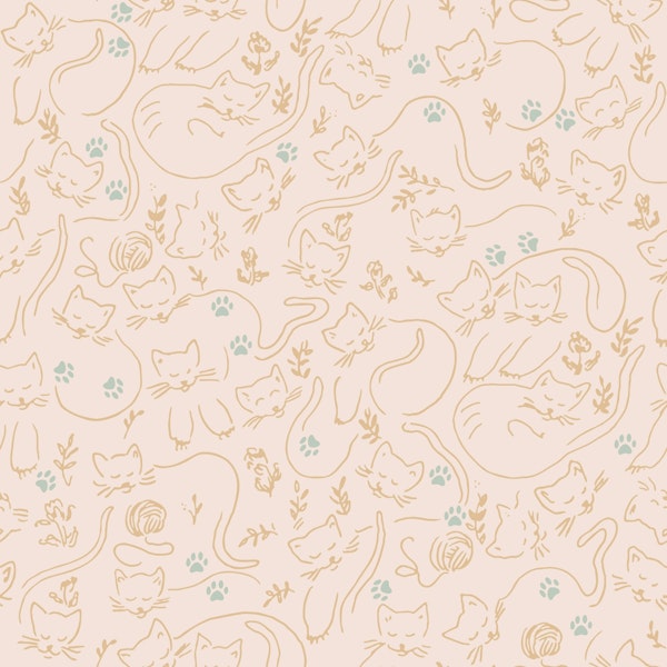 Dreamy Cat Companions