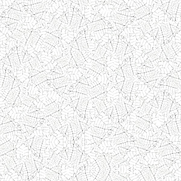 Monochrome Line Web Mesh | Leaf Cell Veins