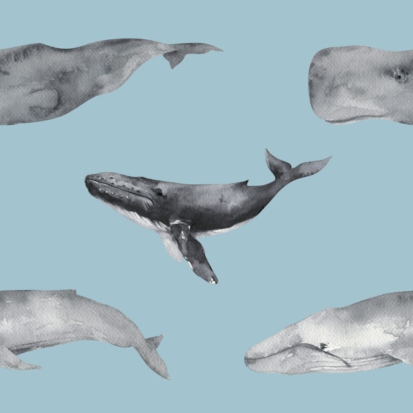 Ocean Giants Pattern