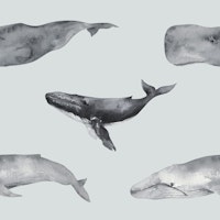 Watercolor Whale Pattern ταπετσαρία