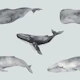 Watercolor Whale Pattern