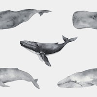 Whales of the Ocean Pattern ταπετσαρία