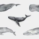 Whales of the Ocean Pattern