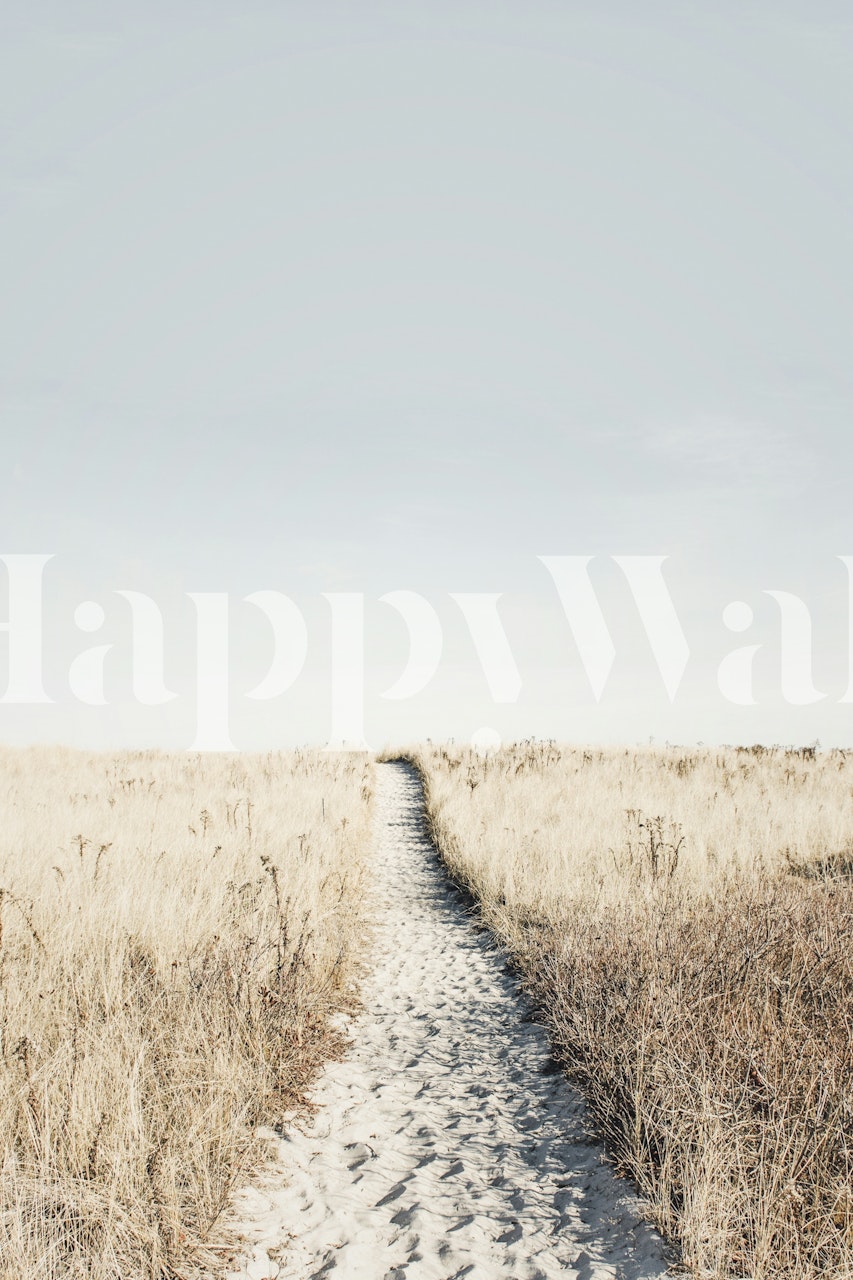 Beach path winding through tall grass in soft neutral tones wallpaper