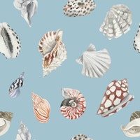 Wall Paper Shell Pattern Nautical Shell Pattern Wallpaper | Happywall.com