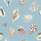 Nautical Shell Pattern