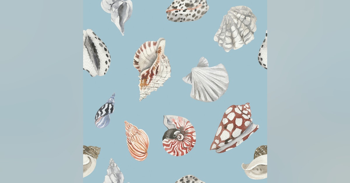 Nautical Shell Pattern Wallpaper | Happywall.com