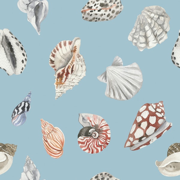 Nautical Shell Pattern