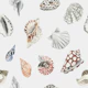 Coastal Shells Pattern
