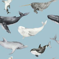 Ocean Wildlife Pattern carta da parati