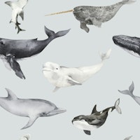 Whales & Dolphins Pattern wallpaper