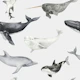 Sea Adventure Pattern
