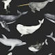Deep Sea Pattern