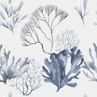 Coastal Reef Pattern carta da parati