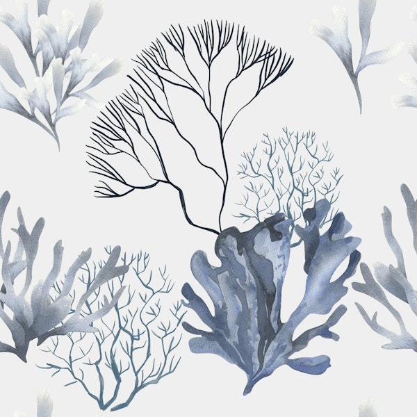 Coastal Reef Pattern