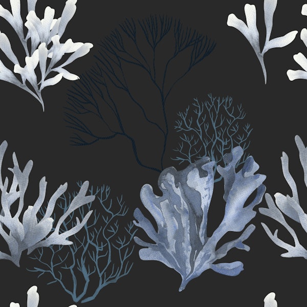 Deep Sea Corals Pattern