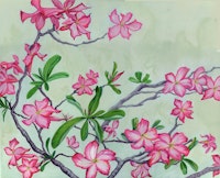 Tropical Desert Rose tapeta