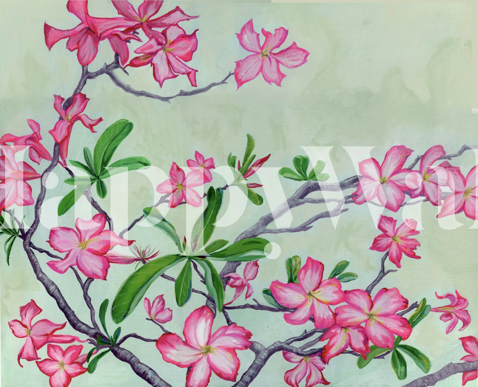 Tropical Desert Rose wallpaper in a room