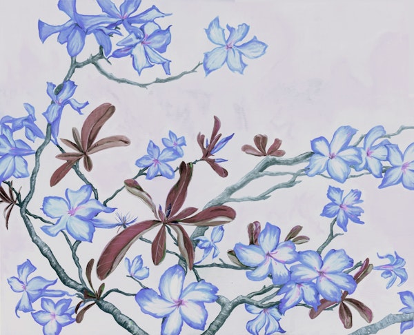 tropical desert bloom