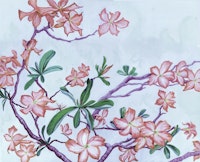 Tropical Desert Vibe tapeta