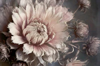 Antique Dry Flowers tapet